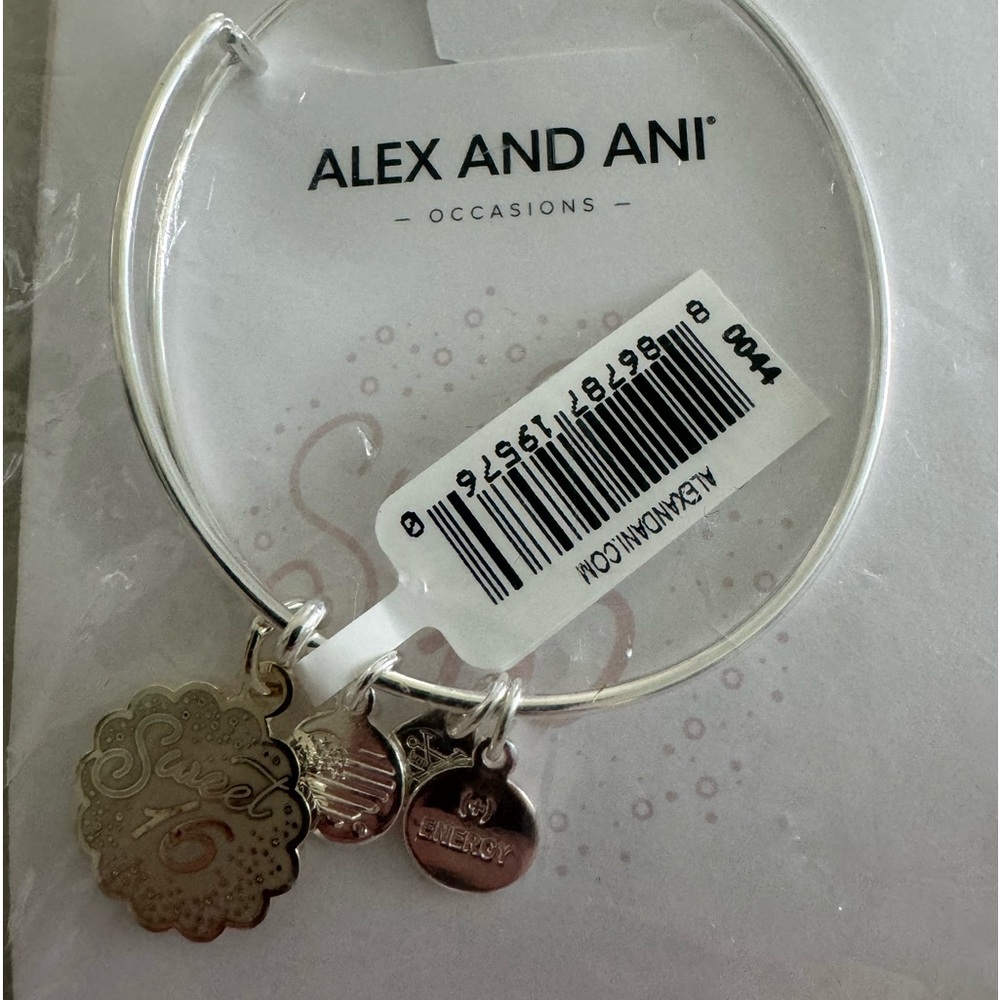 Brand new Alex and ani Sweet Sixteen charm bangle